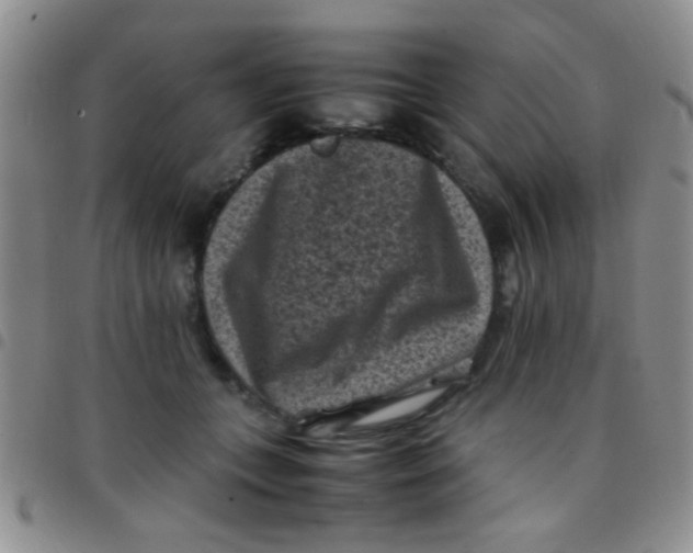 X0000097500559200803142022