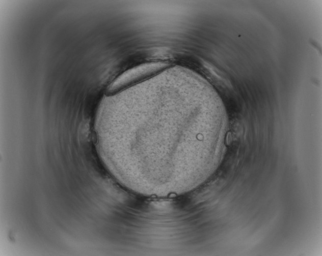 X0000097500560200803142022