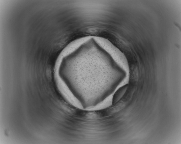 X0000097500562200803142022