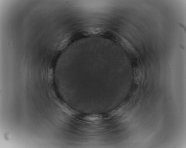 X0000097500563200803142022