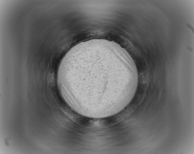 X0000097500564200803142022