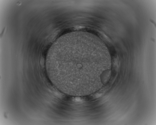 X0000097500565200803142022