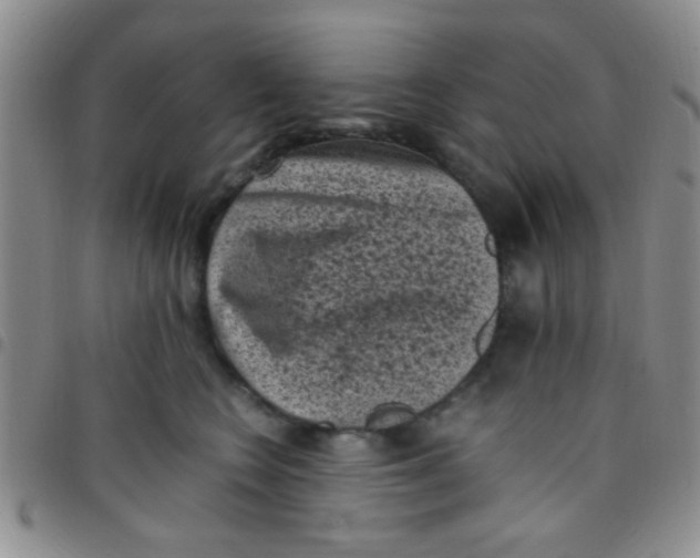 X0000097500566200803142022