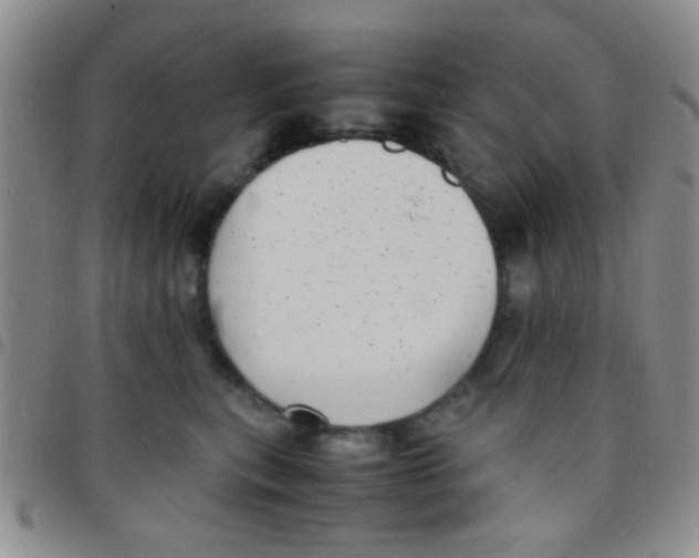 X0000097500567200803142022