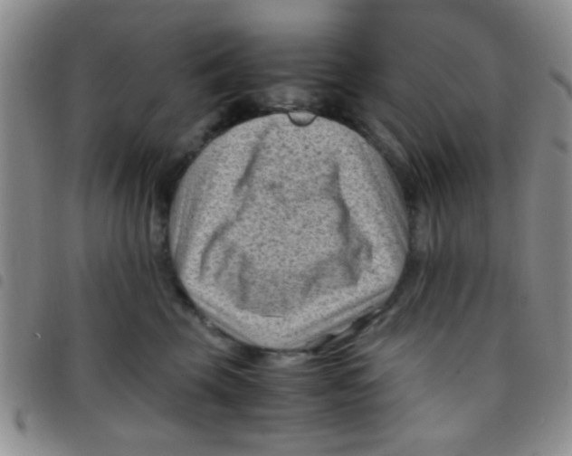 X0000097500569200803142022