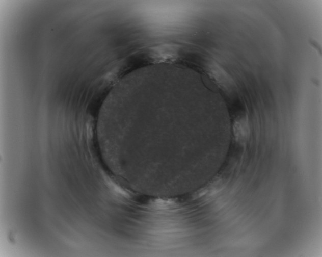 X0000097500570200803142022