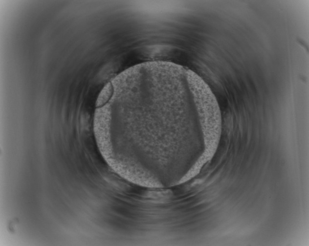 X0000097500571200803142022