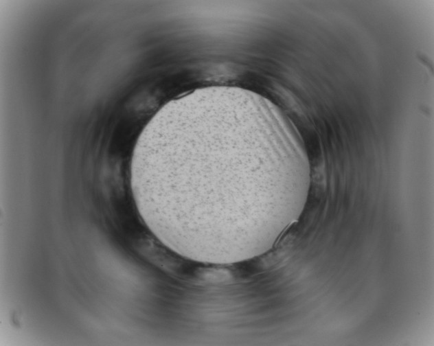 X0000097500572200803142022