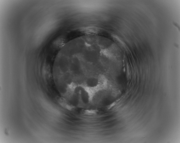 X0000097500573200803142022