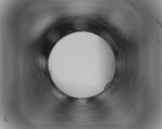 X0000097500574200803142022