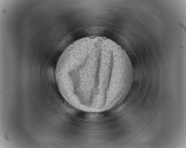 X0000097500575200803142022