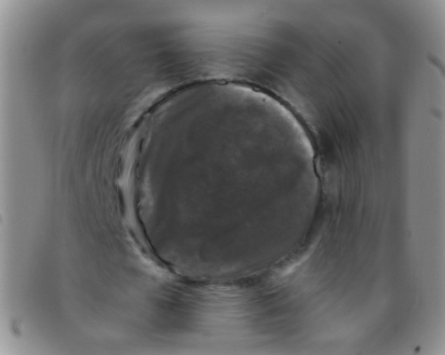 X0000097500577200803142021