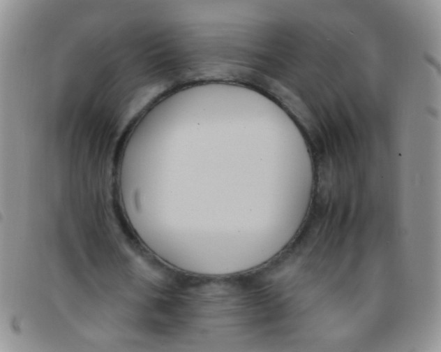 X0000097500578200803142021