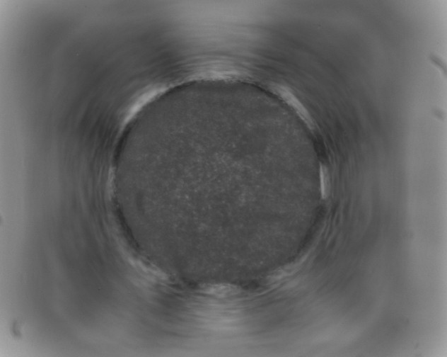 X0000097500579200803142021