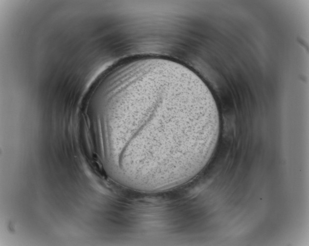 X0000097500580200803142021