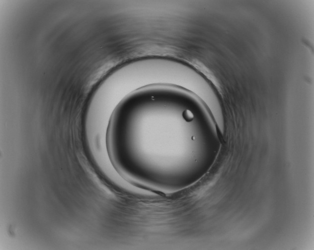 X0000097500581200803142021