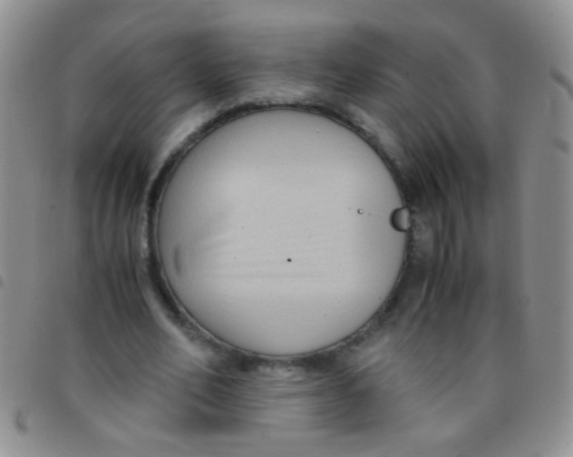 X0000097500582200803142021