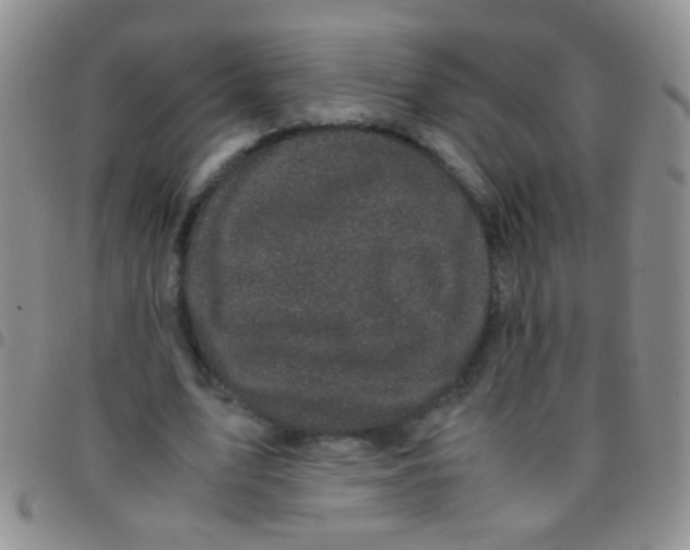 X0000097500583200803142021