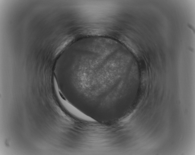 X0000097500585200803142021