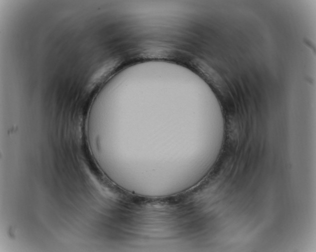 X0000097500586200803142021