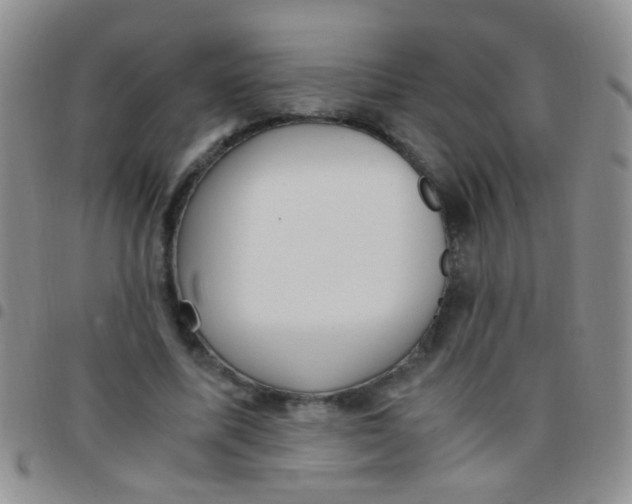 X0000097500587200803142021