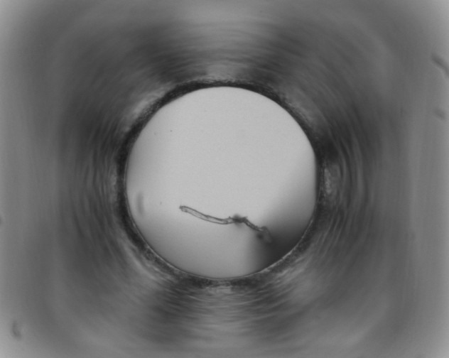 X0000097500588200803142021