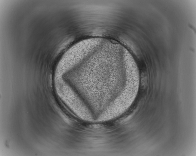 X0000097500589200803142021