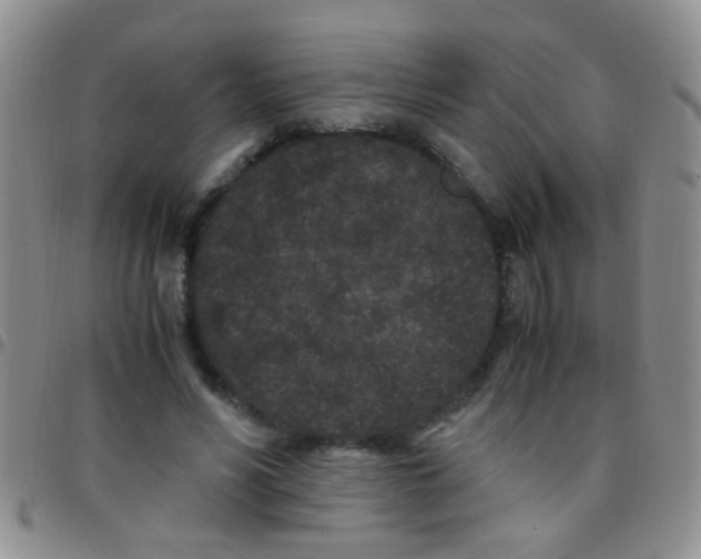 X0000097500590200803142021