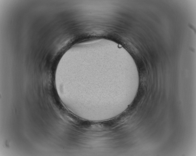 X0000097500591200803142021