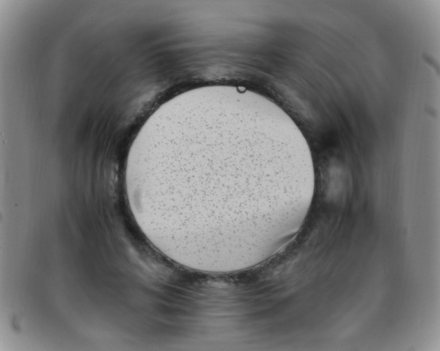 X0000097500592200803142021