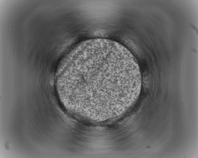 X0000097500593200803142021