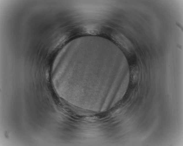 X0000097500595200803142021