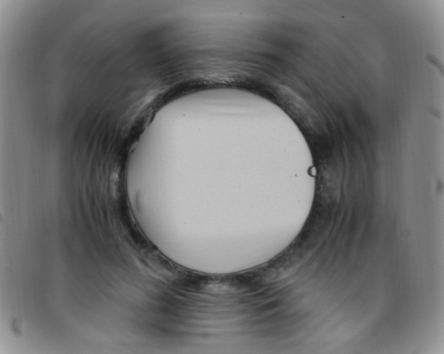 X0000097500596200803142021