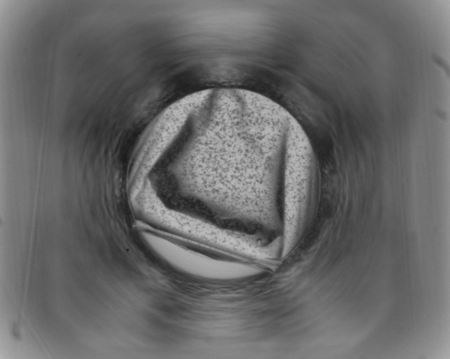 X0000097500597200803142021