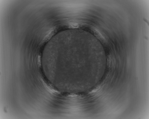 X0000097500598200803142021