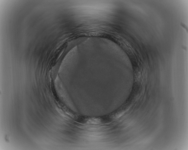 X0000097500599200803142021