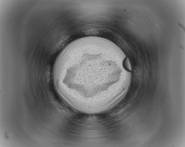 X0000097500600200803142021