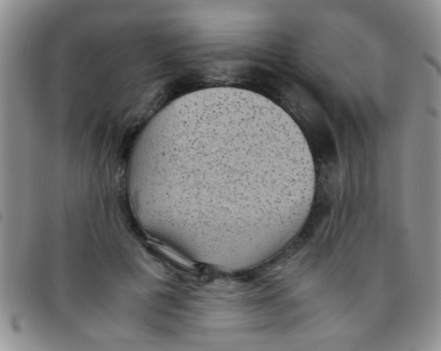 X0000097500601200803142021