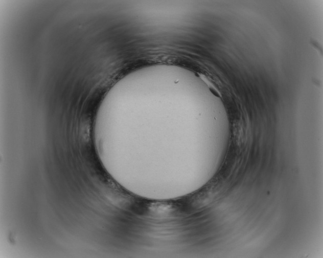 X0000097500602200803142021