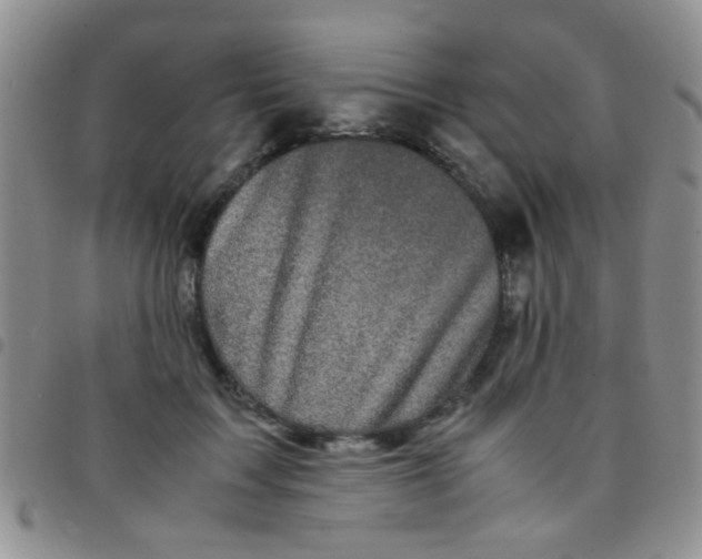 X0000097500603200803142021