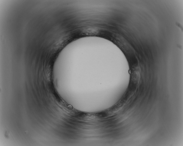 X0000097500604200803142021