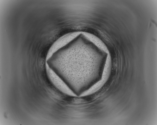 X0000097500605200803142021