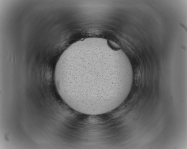 X0000097500608200803142021