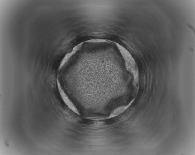 X0000097500609200803142021