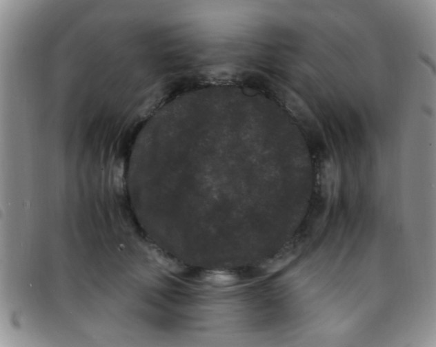 X0000097500610200803142021