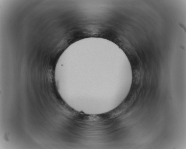 X0000097500612200803142021