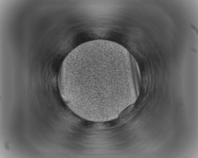 X0000097500613200803142021