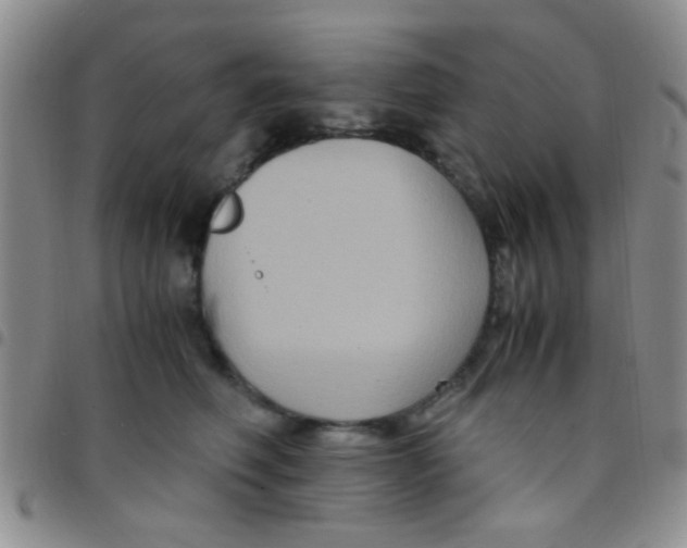 X0000097500614200803142021