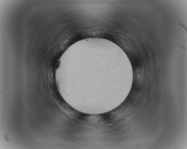 X0000097500615200803142021