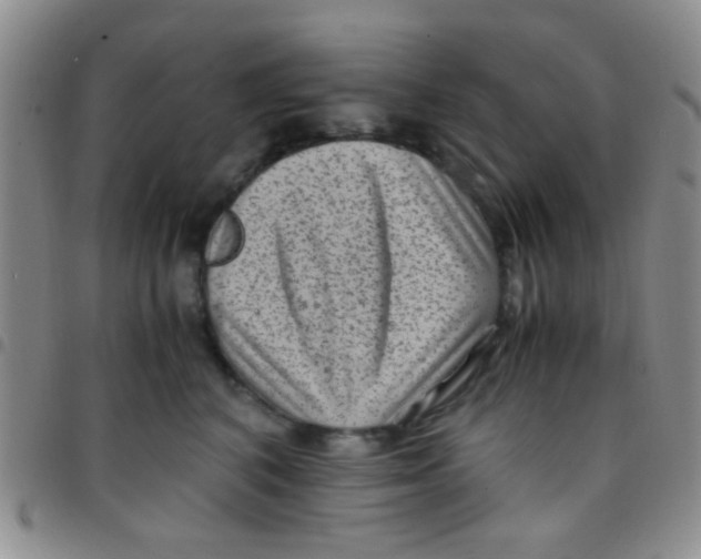 X0000097500616200803142021